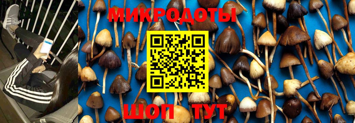 Псилоцибиновые грибы мухоморы Коммунар