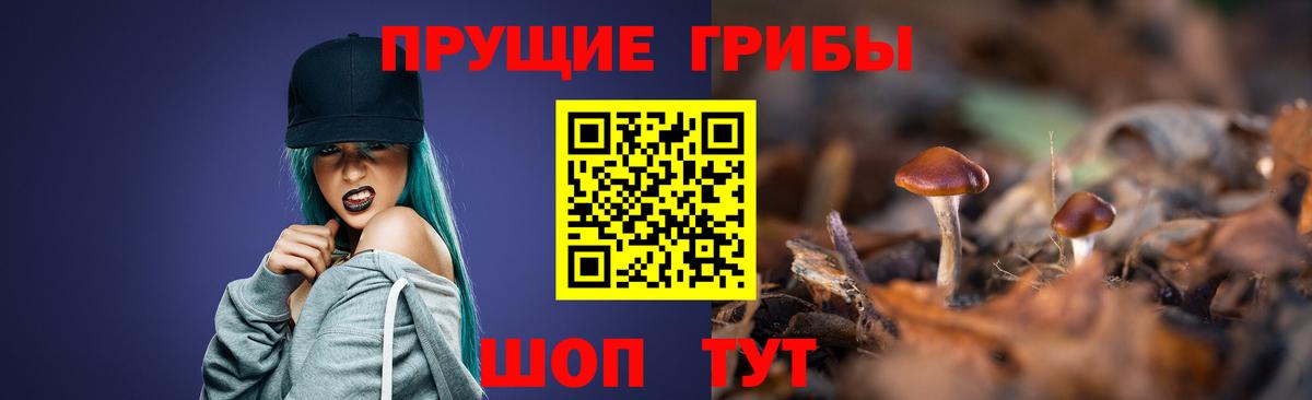 Коммунар  Псилоцибиновые грибы Magic Shrooms  Вход с VPN  Галлюциногенные грибы Psilocybe 